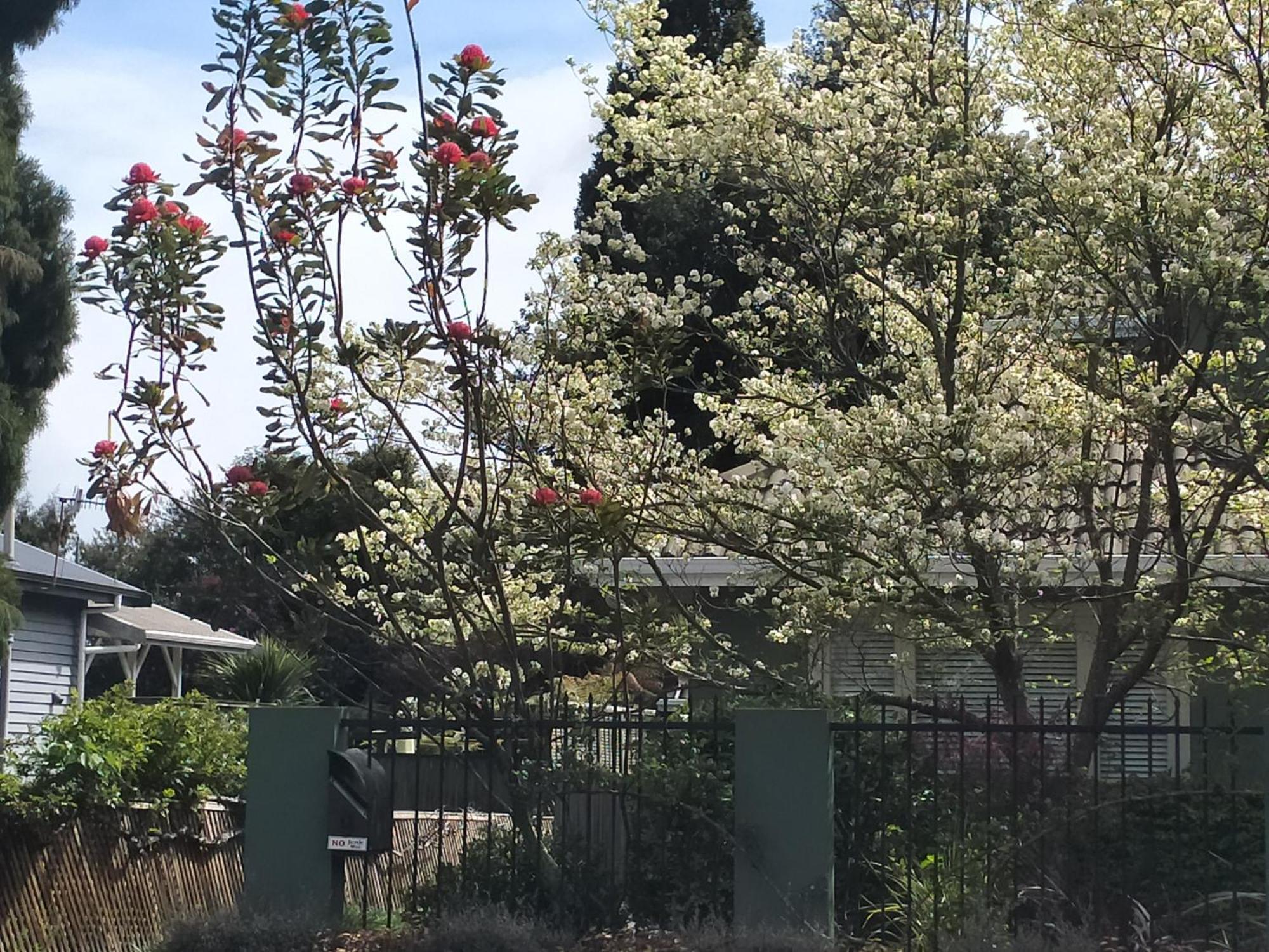 Amberly House Rotorua Bed & Breakfast Bagian luar foto